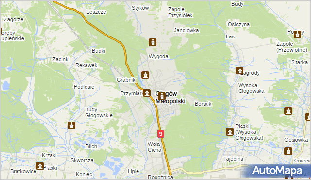 mapa Głogów Małopolski, Głogów Małopolski na mapie Targeo