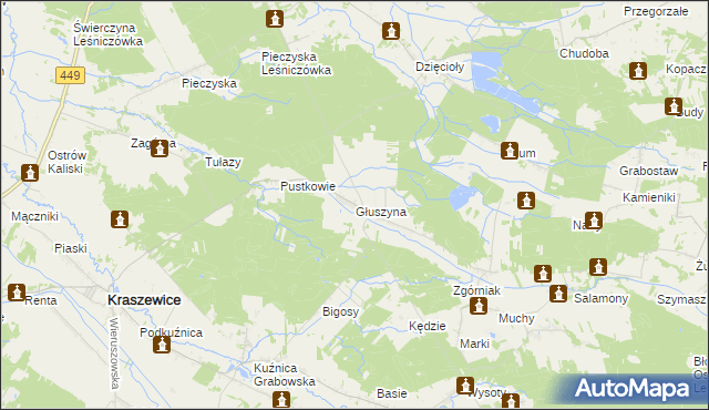 mapa Głuszyna gmina Kraszewice, Głuszyna gmina Kraszewice na mapie Targeo