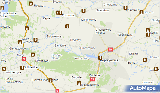 mapa Gnieszowice, Gnieszowice na mapie Targeo