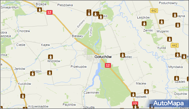 mapa Gołuchów powiat pleszewski, Gołuchów powiat pleszewski na mapie Targeo