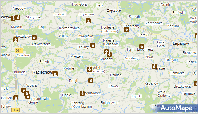 mapa Gruszów gmina Raciechowice, Gruszów gmina Raciechowice na mapie Targeo