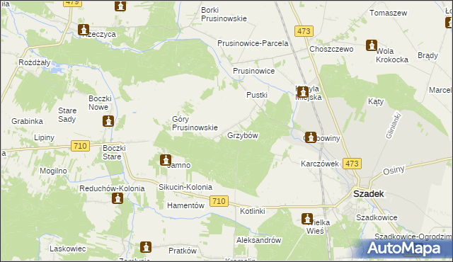 mapa Grzybów gmina Szadek, Grzybów gmina Szadek na mapie Targeo