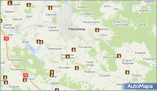 mapa Gumienice gmina Pierzchnica, Gumienice gmina Pierzchnica na mapie Targeo