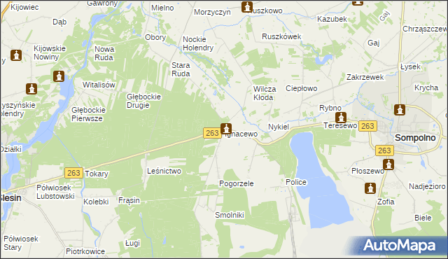 mapa Ignacewo gmina Ślesin, Ignacewo gmina Ślesin na mapie Targeo