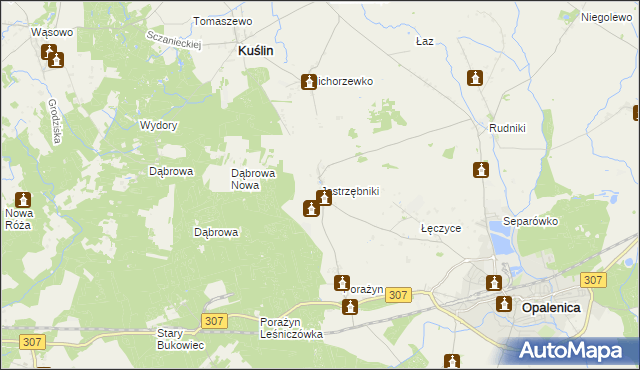 mapa Jastrzębniki gmina Opalenica, Jastrzębniki gmina Opalenica na mapie Targeo