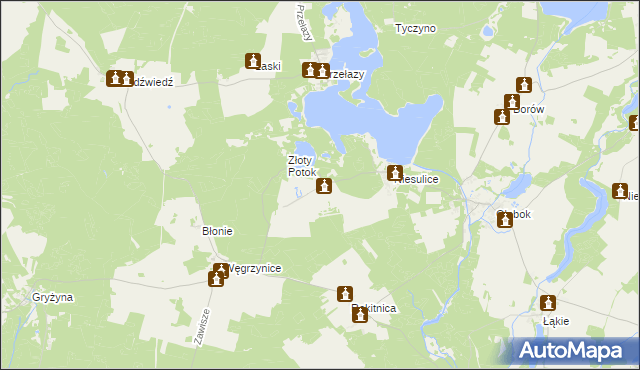 mapa Kalinowo gmina Skąpe, Kalinowo gmina Skąpe na mapie Targeo