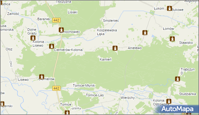 mapa Kamień gmina Pyzdry, Kamień gmina Pyzdry na mapie Targeo