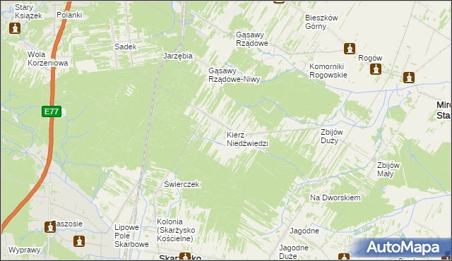 mapa Kierz Niedźwiedzi, Kierz Niedźwiedzi na mapie Targeo