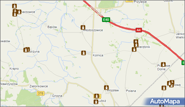 mapa Kolnica gmina Grodków, Kolnica gmina Grodków na mapie Targeo