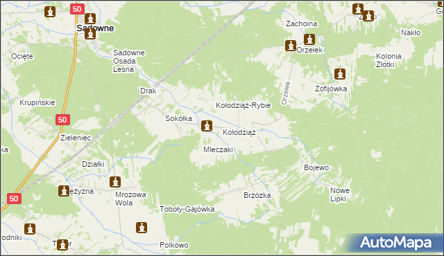 mapa Kołodziąż gmina Sadowne, Kołodziąż gmina Sadowne na mapie Targeo