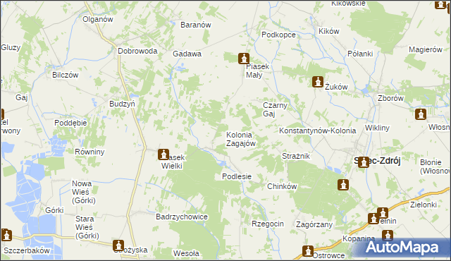 mapa Kolonia Zagajów, Kolonia Zagajów na mapie Targeo