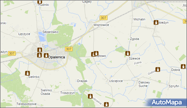 mapa Kozłowo gmina Opalenica, Kozłowo gmina Opalenica na mapie Targeo