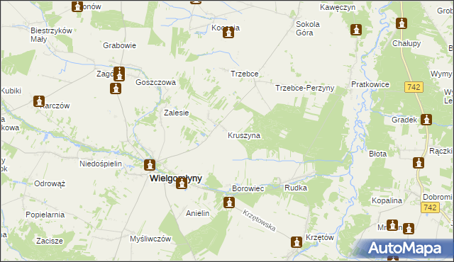 mapa Kruszyna gmina Wielgomłyny, Kruszyna gmina Wielgomłyny na mapie Targeo