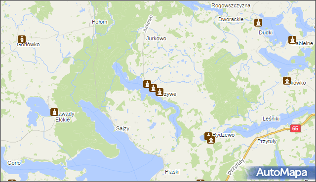 mapa Krzywe gmina Świętajno, Krzywe gmina Świętajno na mapie Targeo