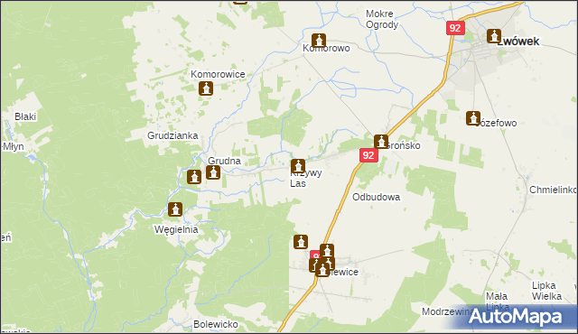 mapa Krzywy Las gmina Lwówek, Krzywy Las gmina Lwówek na mapie Targeo