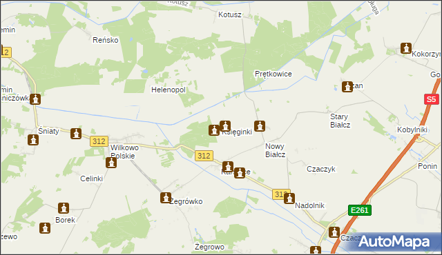 mapa Księginki gmina Śmigiel, Księginki gmina Śmigiel na mapie Targeo