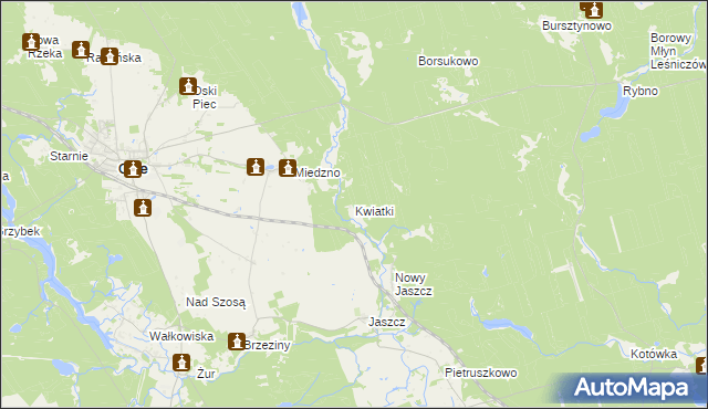 mapa Kwiatki, Kwiatki na mapie Targeo