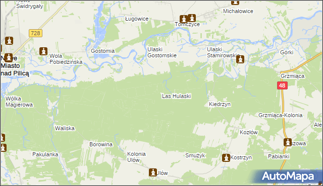 mapa Las Hulaski, Las Hulaski na mapie Targeo