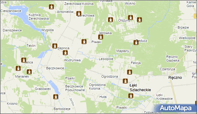 mapa Lesiopole, Lesiopole na mapie Targeo