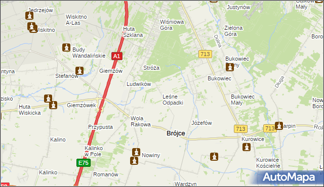 mapa Leśne Odpadki, Leśne Odpadki na mapie Targeo