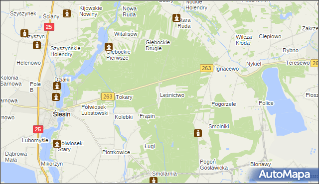 mapa Leśnictwo gmina Ślesin, Leśnictwo gmina Ślesin na mapie Targeo