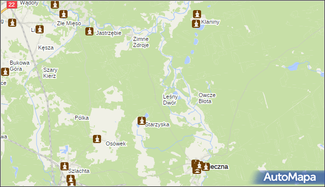 mapa Leśny Dwór gmina Osieczna, Leśny Dwór gmina Osieczna na mapie Targeo