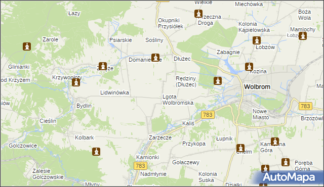 mapa Lgota Wolbromska, Lgota Wolbromska na mapie Targeo