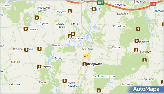 mapa Lichawa gmina Sędziejowice, Lichawa gmina Sędziejowice na mapie Targeo