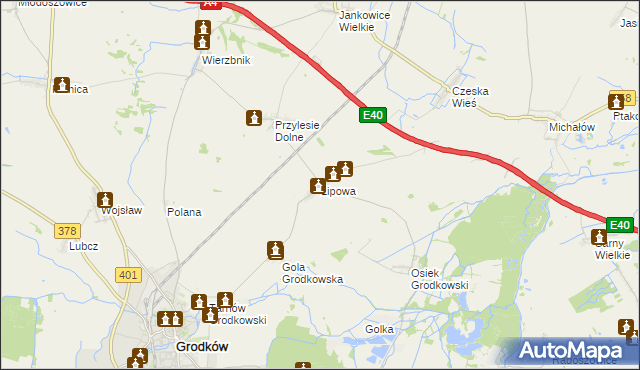 mapa Lipowa gmina Grodków, Lipowa gmina Grodków na mapie Targeo