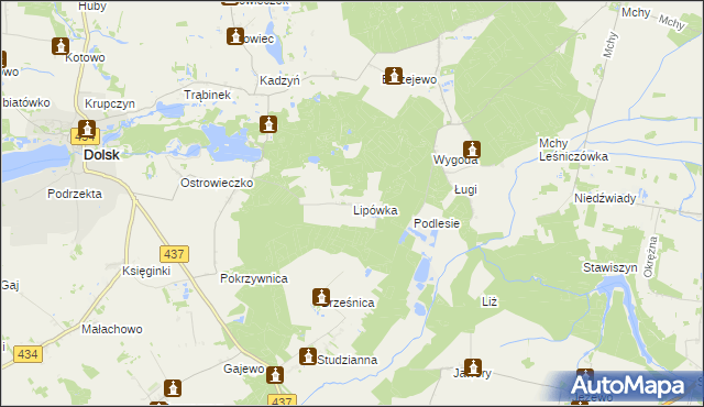 mapa Lipówka gmina Dolsk, Lipówka gmina Dolsk na mapie Targeo