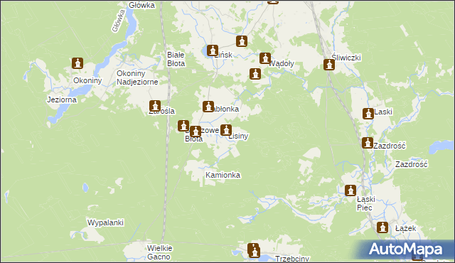 mapa Lisiny gmina Śliwice, Lisiny gmina Śliwice na mapie Targeo