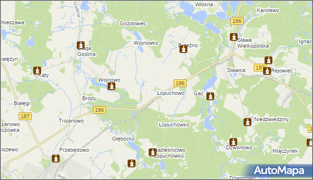 mapa Łopuchowo gmina Murowana Goślina, Łopuchowo gmina Murowana Goślina na mapie Targeo