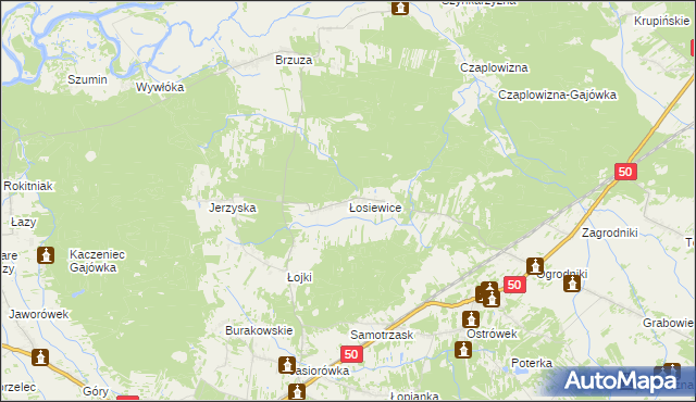 mapa Łosiewice, Łosiewice na mapie Targeo