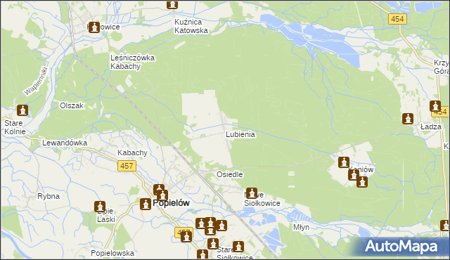 mapa Lubienia gmina Popielów, Lubienia gmina Popielów na mapie Targeo