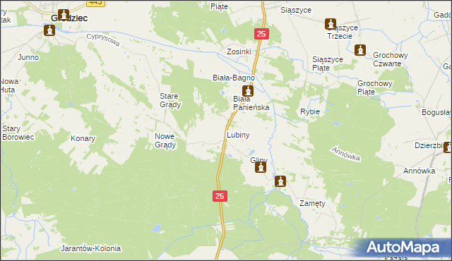 mapa Lubiny gmina Rychwał, Lubiny gmina Rychwał na mapie Targeo