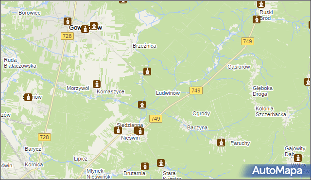 mapa Ludwinów gmina Gowarczów, Ludwinów gmina Gowarczów na mapie Targeo