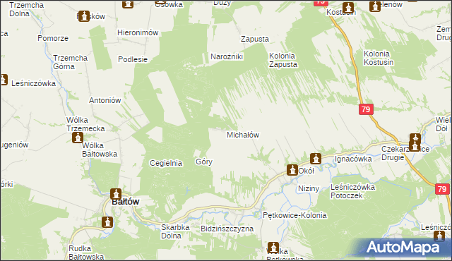 mapa Michałów gmina Bałtów, Michałów gmina Bałtów na mapie Targeo