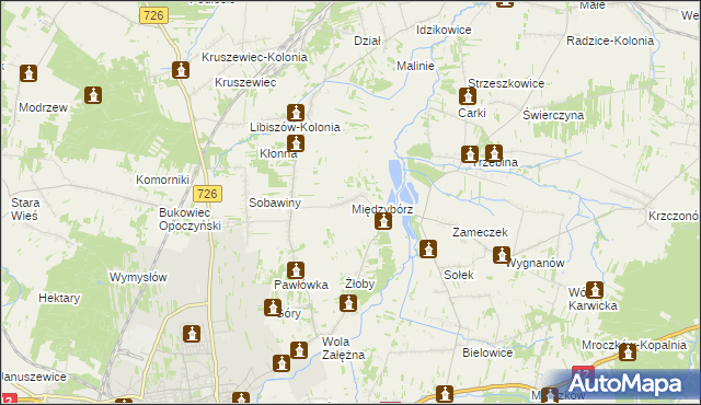 mapa Międzybórz gmina Opoczno, Międzybórz gmina Opoczno na mapie Targeo