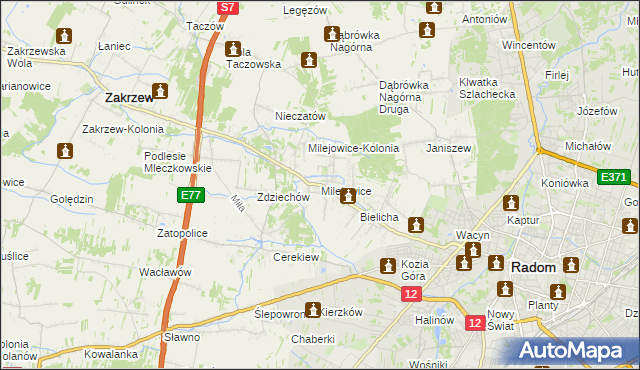 mapa Milejowice gmina Zakrzew, Milejowice gmina Zakrzew na mapie Targeo