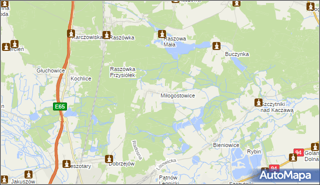 mapa Miłogostowice, Miłogostowice na mapie Targeo