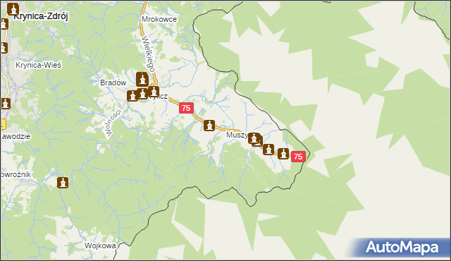 mapa Muszynka, Muszynka na mapie Targeo