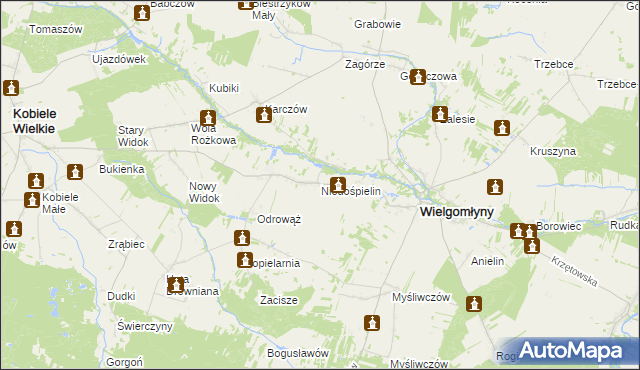 mapa Niedośpielin, Niedośpielin na mapie Targeo