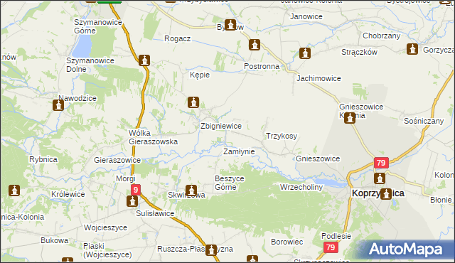 mapa Niedźwice, Niedźwice na mapie Targeo