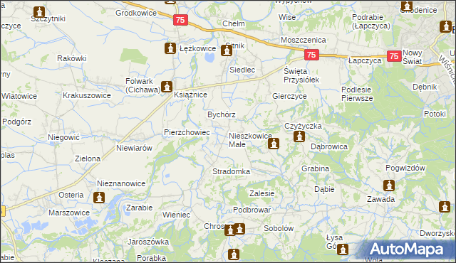 mapa Nieszkowice Małe, Nieszkowice Małe na mapie Targeo