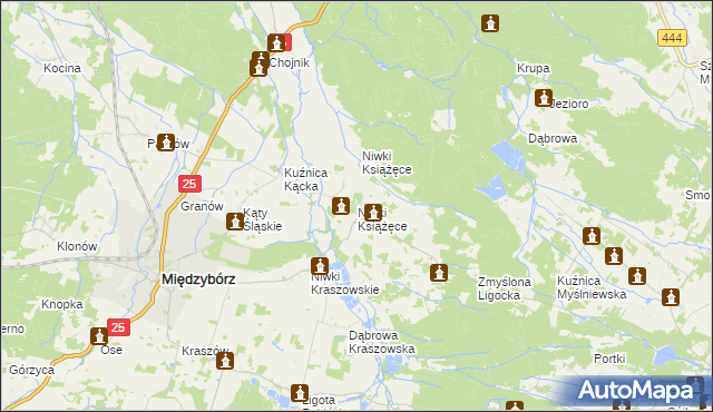 mapa Niwki Książęce gmina Międzybórz, Niwki Książęce gmina Międzybórz na mapie Targeo