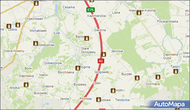 mapa Nowe Skoszewy, Nowe Skoszewy na mapie Targeo