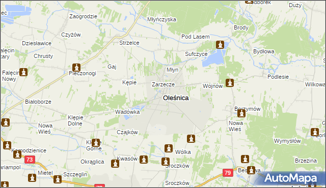 mapa Oleśnica powiat staszowski, Oleśnica powiat staszowski na mapie Targeo