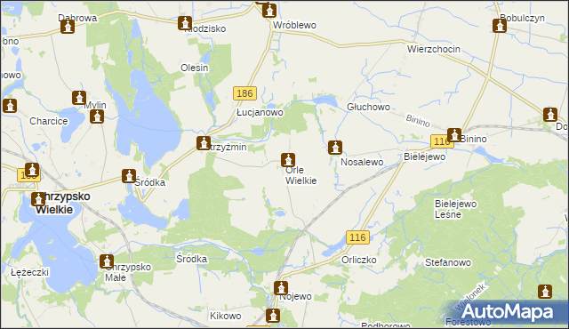 mapa Orle Wielkie, Orle Wielkie na mapie Targeo