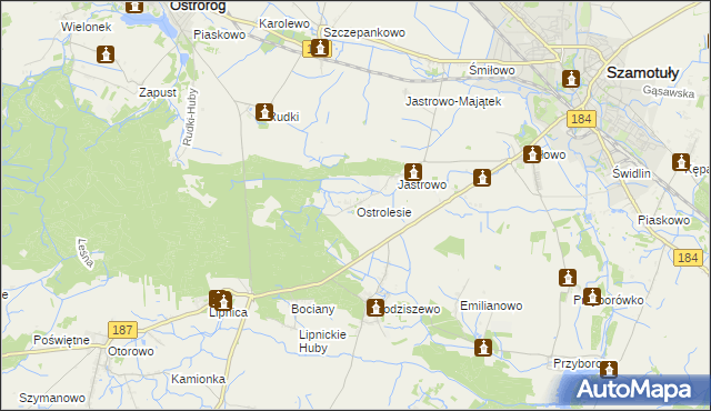 mapa Ostrolesie, Ostrolesie na mapie Targeo