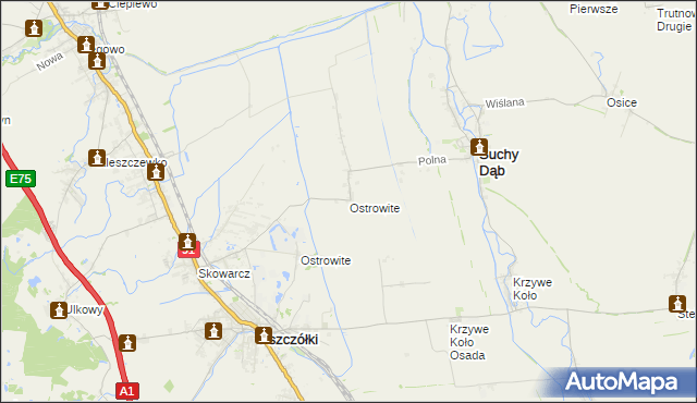 mapa Ostrowite gmina Suchy Dąb, Ostrowite gmina Suchy Dąb na mapie Targeo